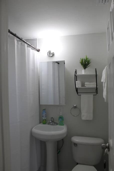 ☆The Oasis In Murray Hill☆ -Sleeps 8- Wifi- Cozy Jacksonville Exterior foto